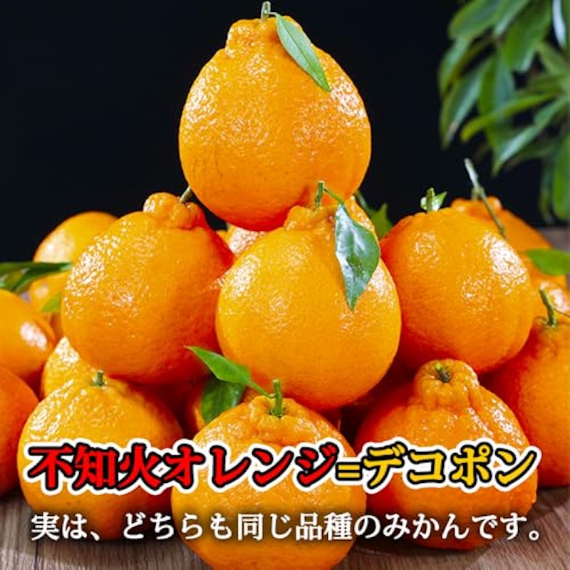 不知火 3