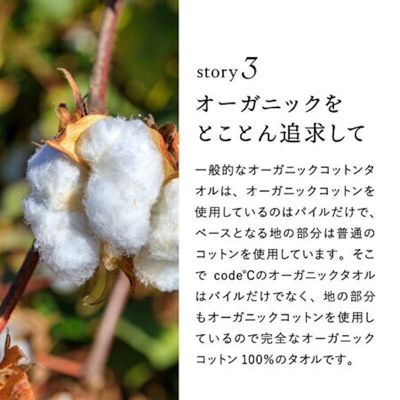 プレミアムタオルセット 9