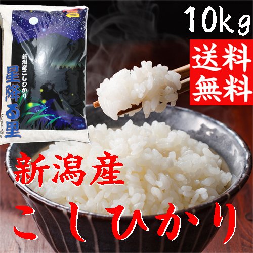小出農場 新潟県産コシヒカリ 5分づき 1