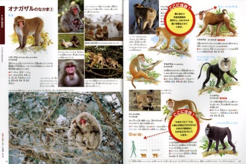ポプラディア大図鑑 WONDA 動物 3
