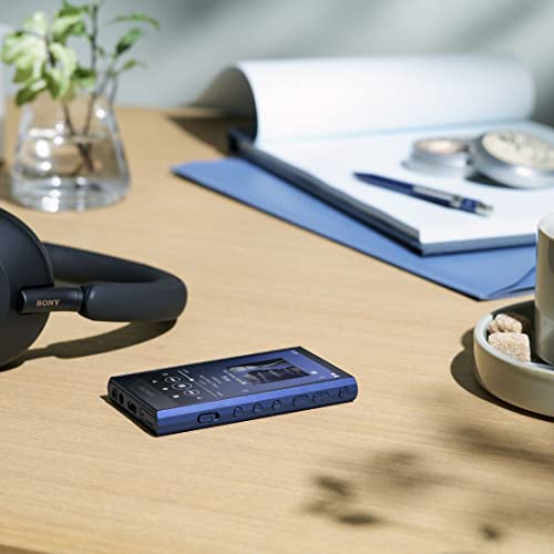 Sony ウォークマン　NW-A300Series sony ウォークマン A300」の人気商品一覧 | 安い商品を通販サイトから