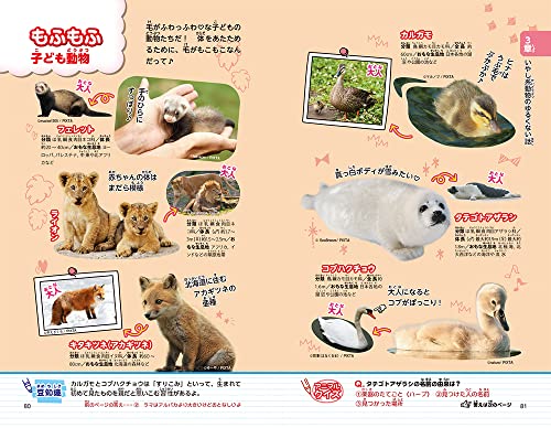 動物図鑑のおすすめ人気ランキング【大人も子どもも楽しめる