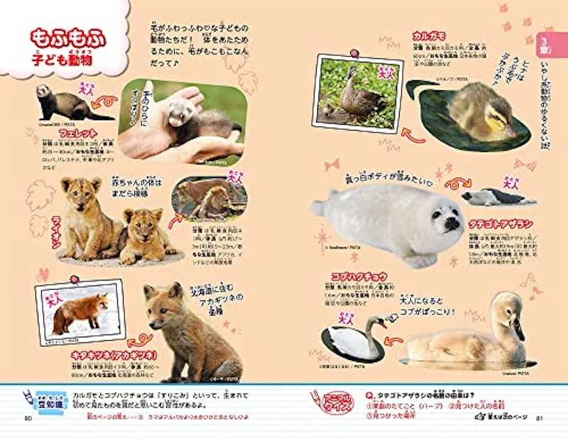 動物園へ行こう! 5