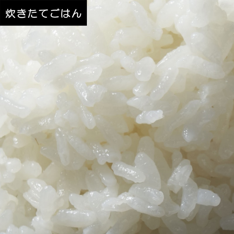 IH炊飯器 9