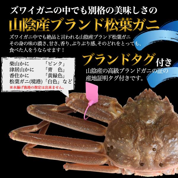 活 松葉ガニ 2