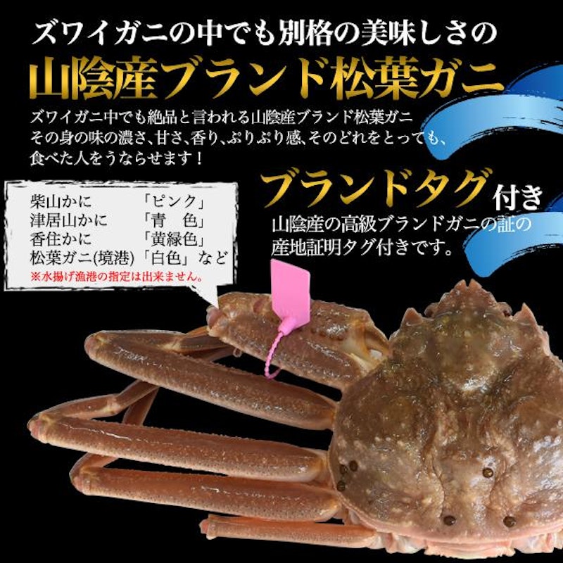 活 松葉ガニ 2