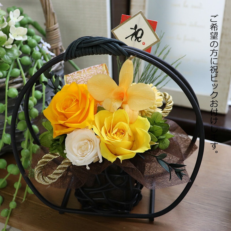 彩華 デンファレ 3