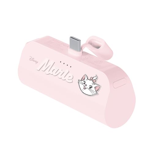 USB Type-C 直挿しモバイルバッテリー 2