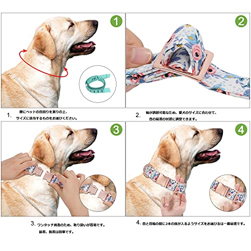 XZQTIVE 犬用首輪 6