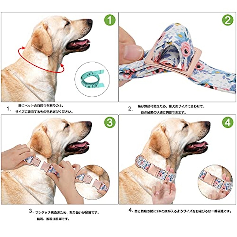 XZQTIVE 犬用首輪 6