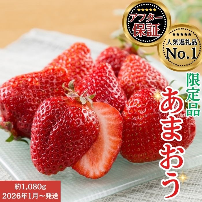 あまおう ふるさと納税 川崎町 福岡産冷凍あまおう500g×2袋(川崎町)