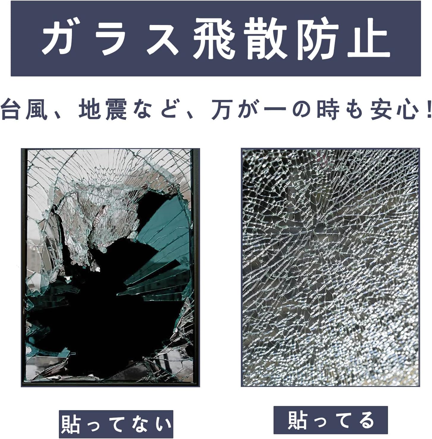 遮光シート 6