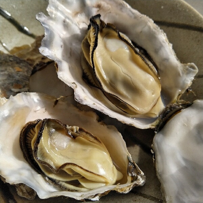 生食用冷凍牡蠣 殻付き 3