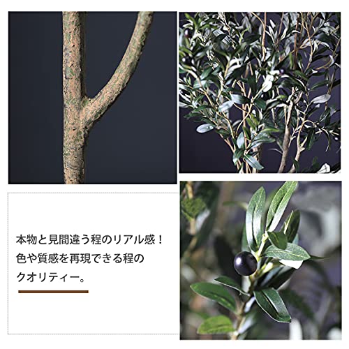 フェイクグリーン 2