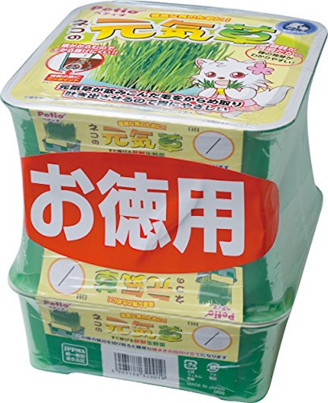 ネコの元気草 1