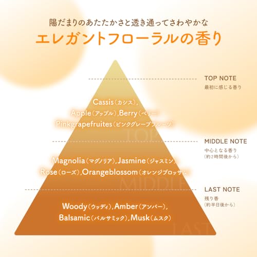 オイルイントリートメント 6