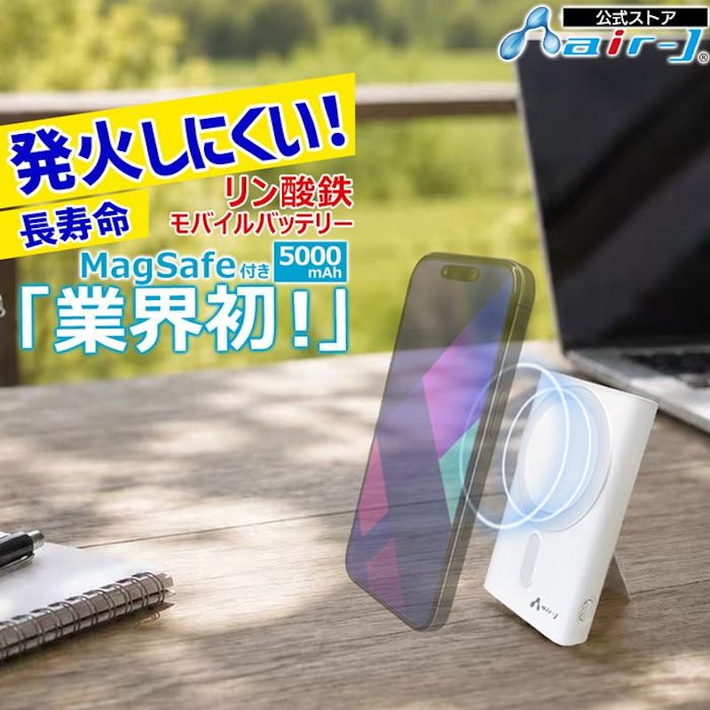 リン酸鉄モバイルバッテリー 1