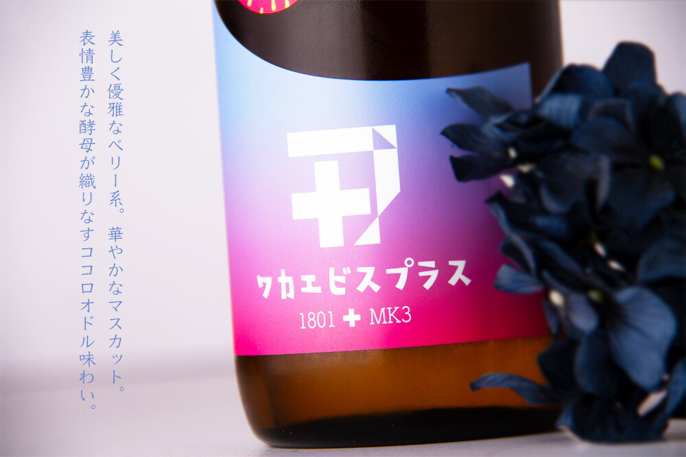 ワカエビスプラス 003 4