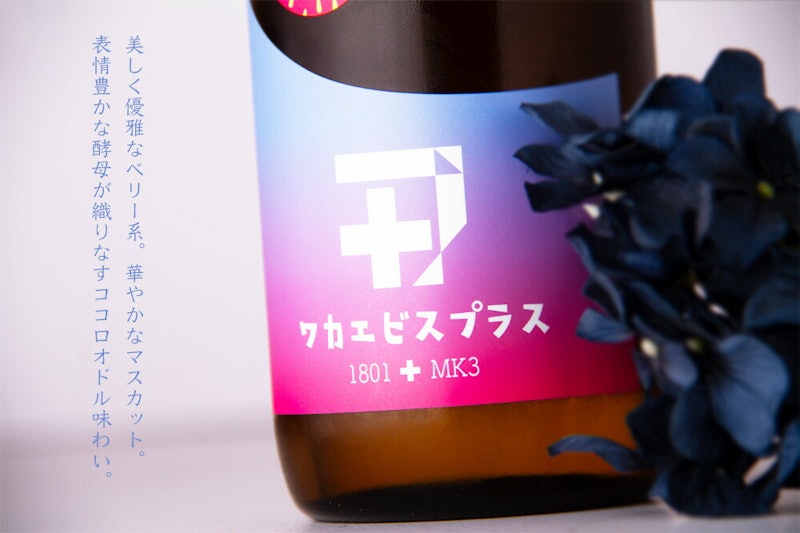 ワカエビスプラス 003 4