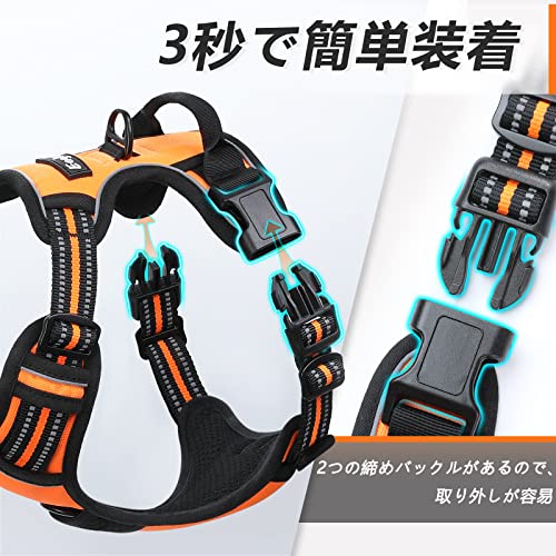 ハーネス 5