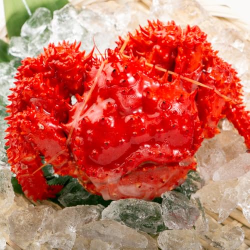 花咲蟹 1