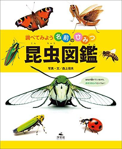 22年 昆虫図鑑のおすすめ人気ランキング13選 Mybest