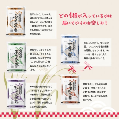 お米4種食べくらべ 3