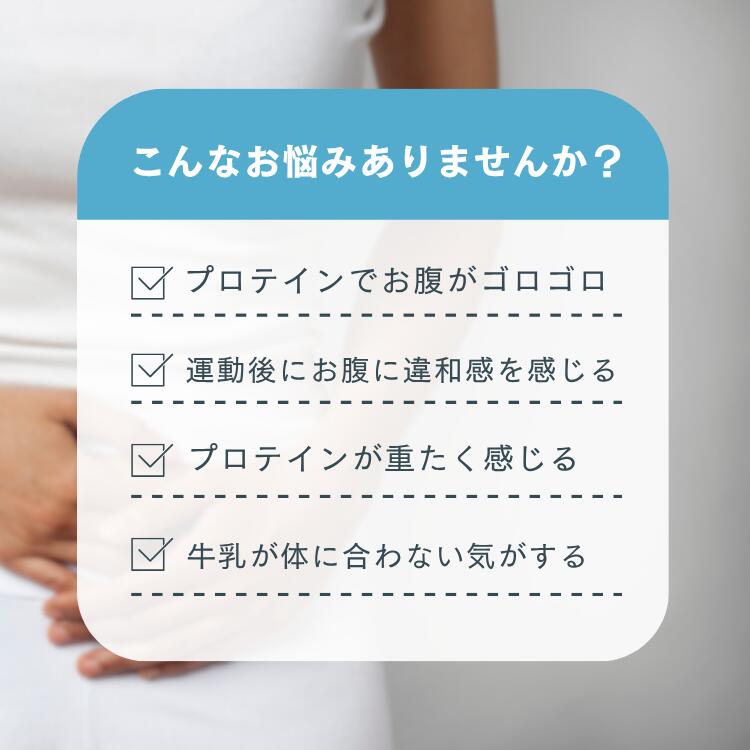 ホエイプロテイン 2