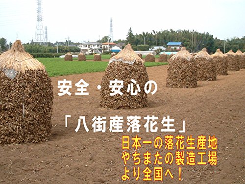 素煎 ナカテユタカ 千葉県八街産落花生 5
