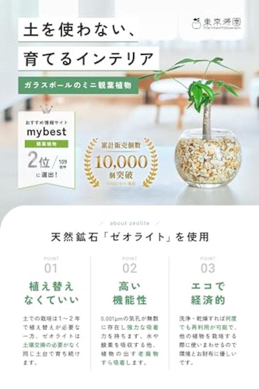 カポック 2