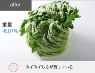 冷凍冷蔵庫  15