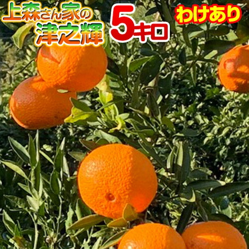 わけあり 上森さん家の津之輝 1