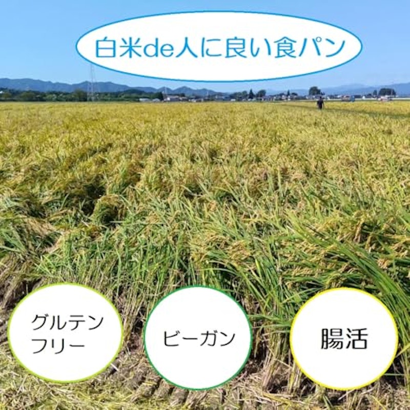 白米deパン 3