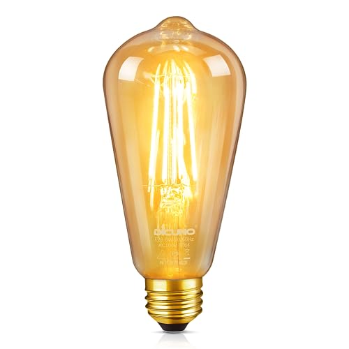 LEDエジソン電球 1