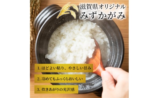みずかがみ BG無洗米 定期便 3