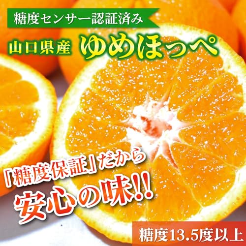  ゆめほっぺ  5