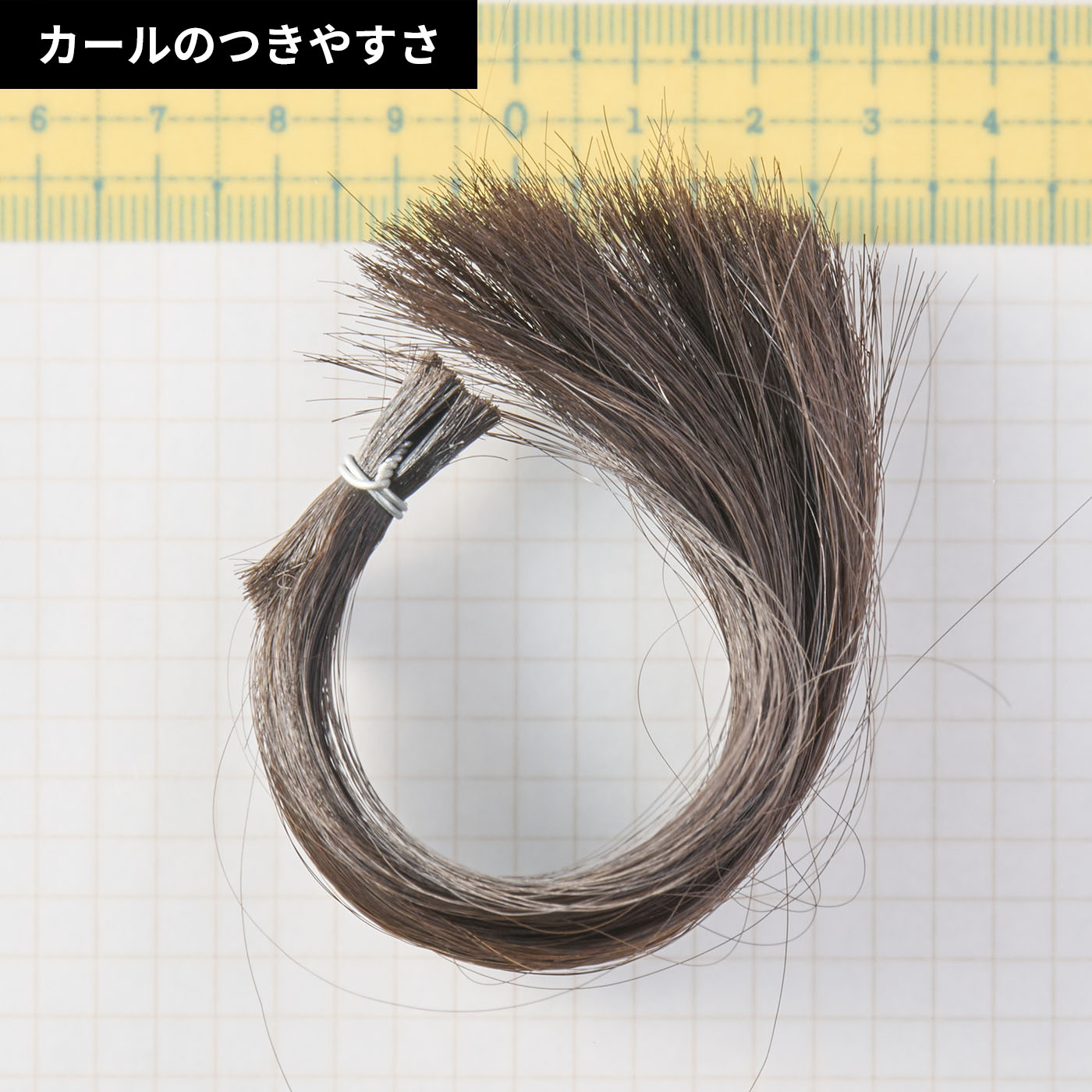 カールプロ SR 6