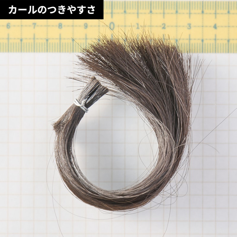 カールプロ SR 6
