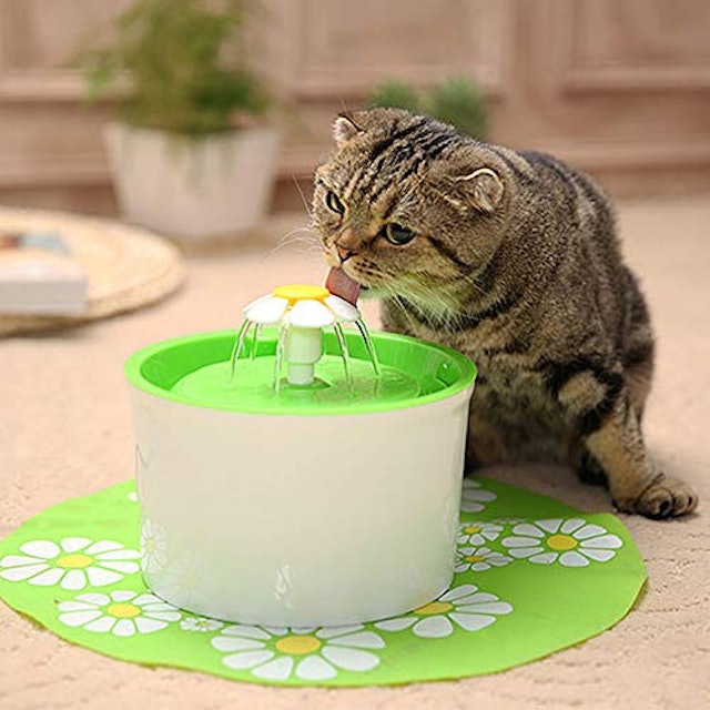 猫用自動給水器のおすすめ人気ランキング14選 Mybest 猫用自動給水器のおすすめ人気ランキング14選 Mybest
