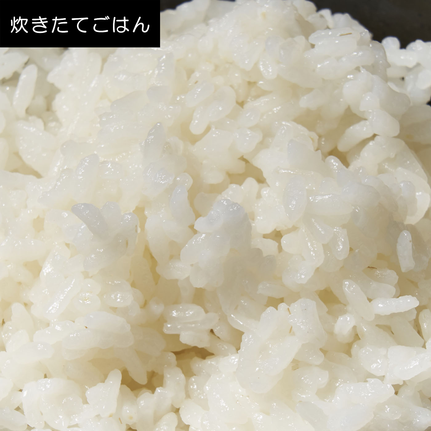  銘柄炊き ジャー炊飯器 10