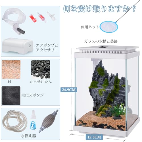 小型ガラス水槽 2