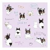 おしゃれでかわいいメガネ拭きのおすすめ人気ランキング【2026年6月】 4