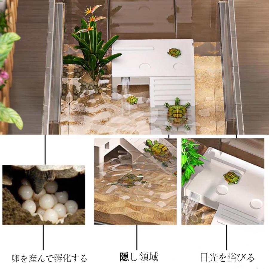 大型プラスチック水槽 6
