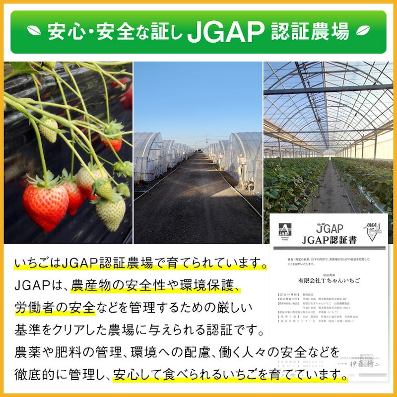 とちあいか 15