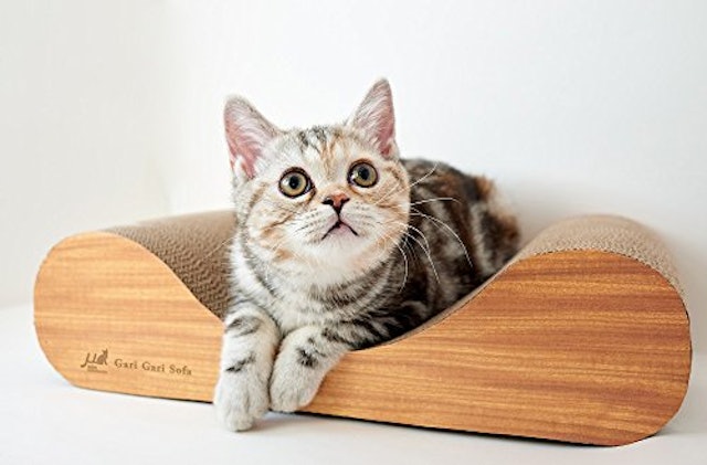 猫用爪とぎのおすすめ人気ランキング15選 Mybest 猫用爪とぎのおすすめ人気ランキング15選 Mybest
