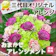 玉川生花店 アレンジメント スタンダード 1