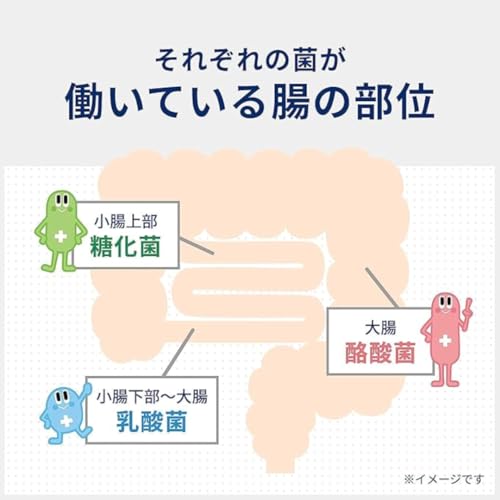 ビオスリー Hi錠 3