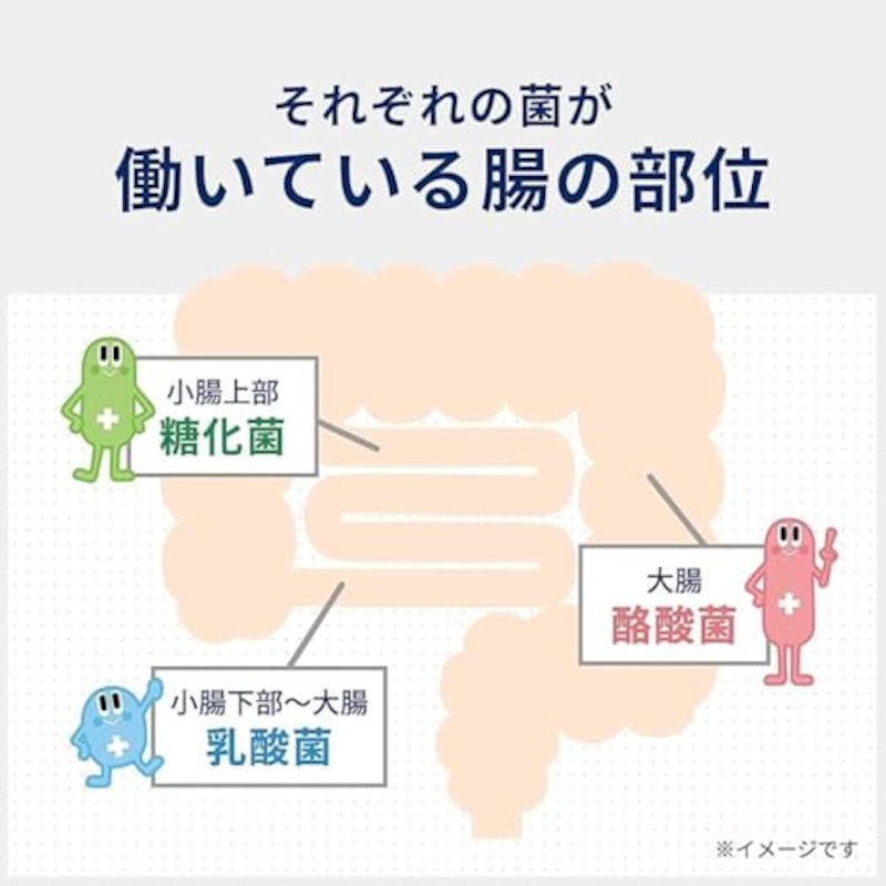 ビオスリー Hi錠 3