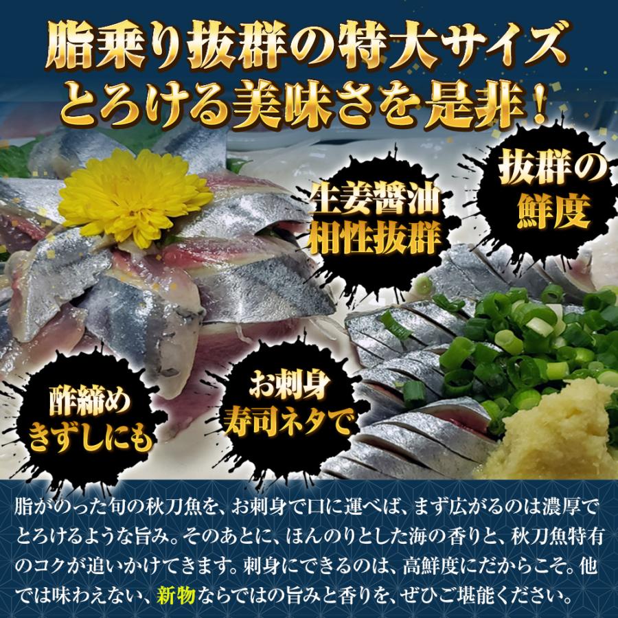  特大生冷凍さんま 2