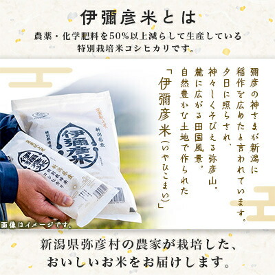 皇室献上米 伊彌彦米 3